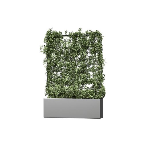 Botanical Planter 4
