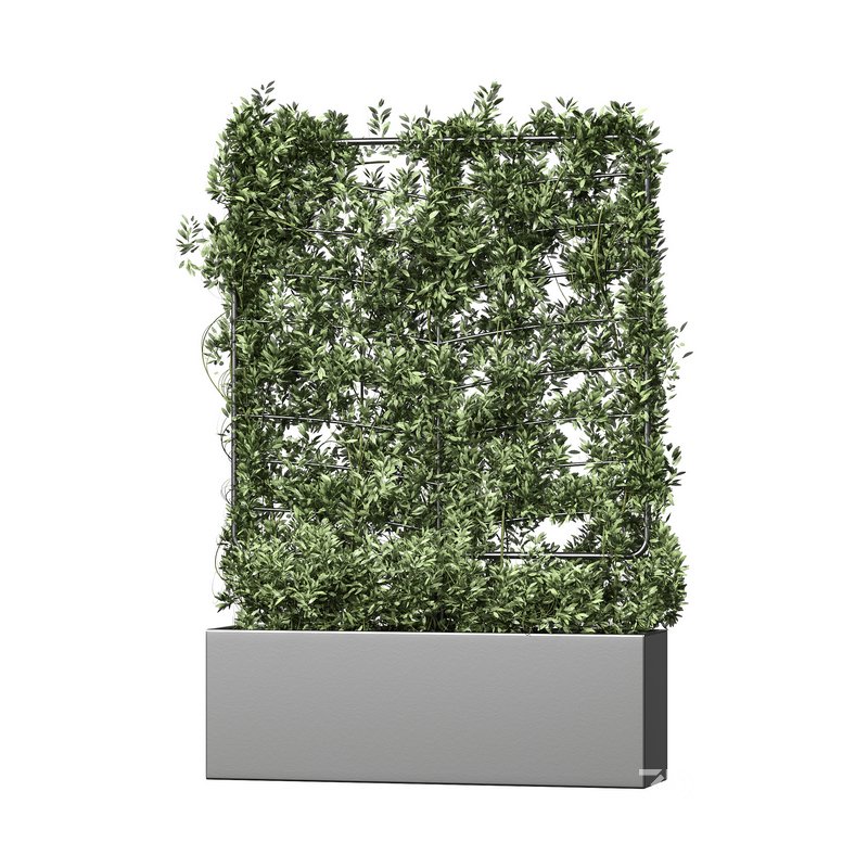 Botanical Planter 4 Image 1