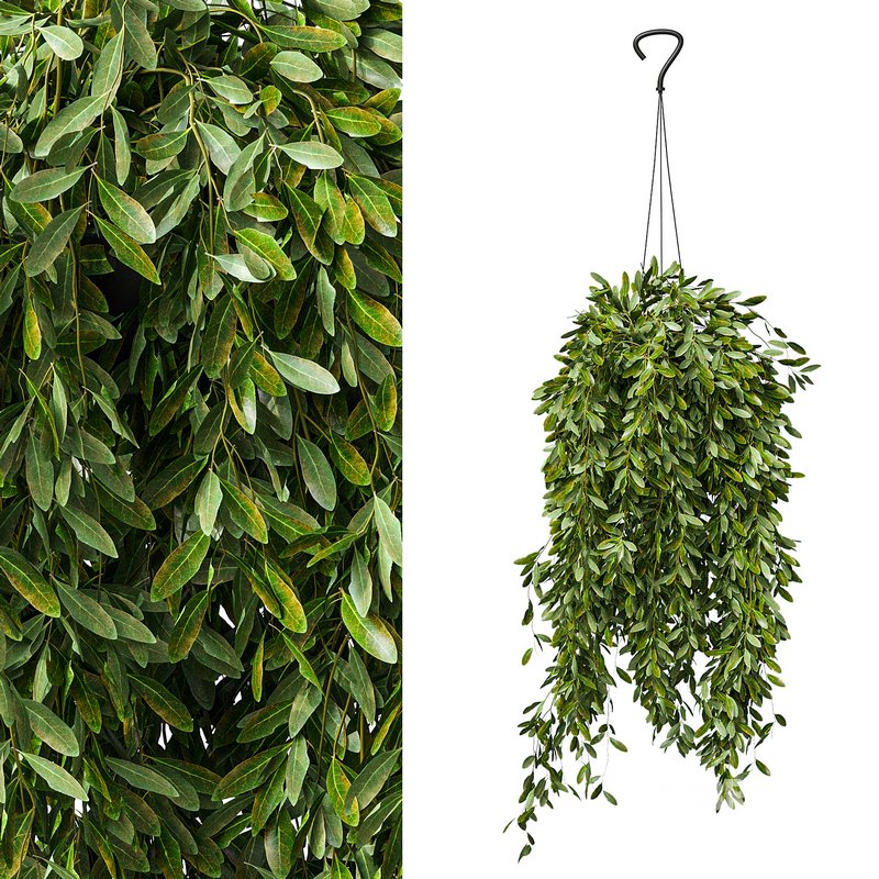 Flower set-14 Image 1