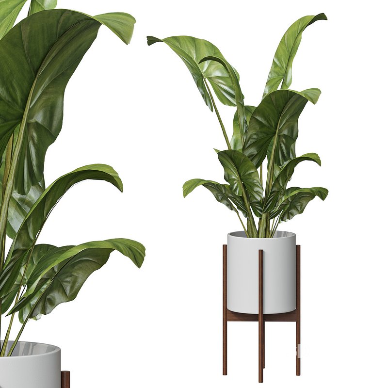 Flower set 05 Image 1