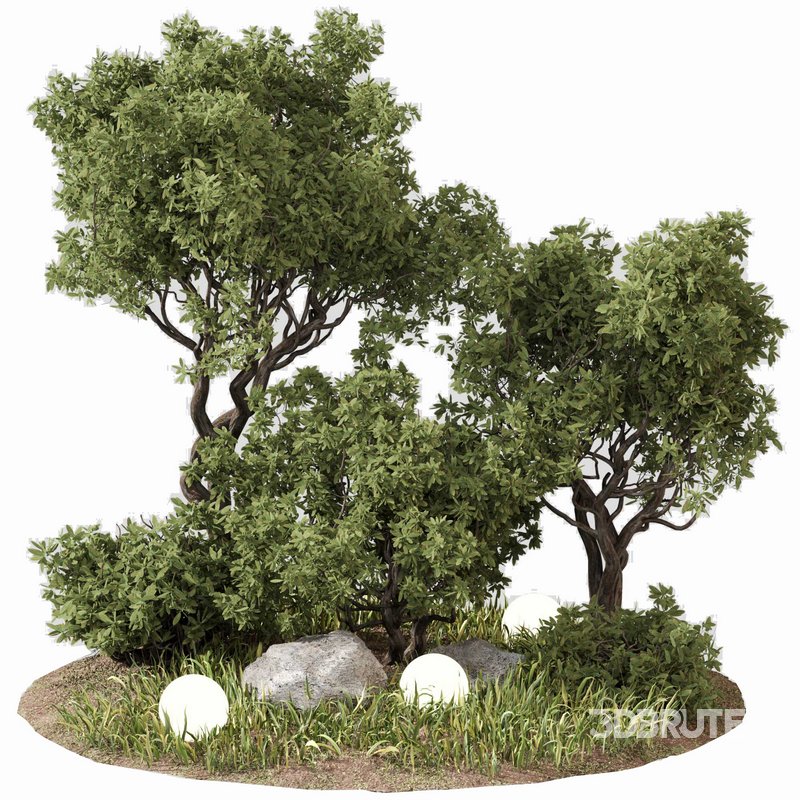 outdoor Plant Set 07 Image 4