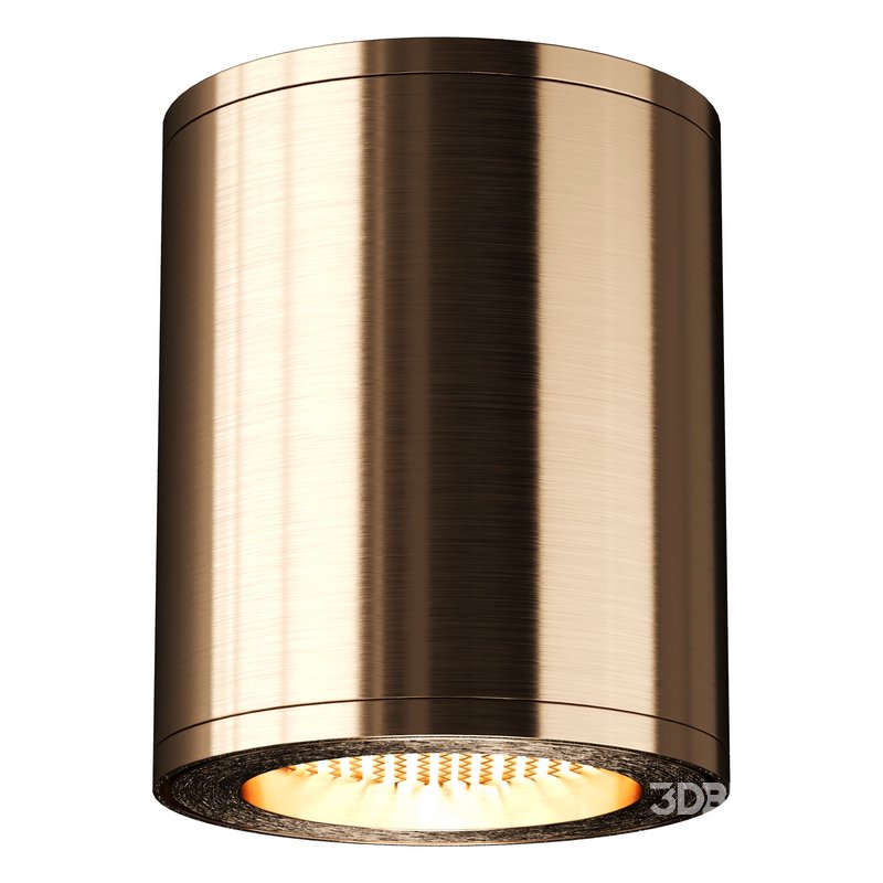 Aisilan Ceiling Light Image 1