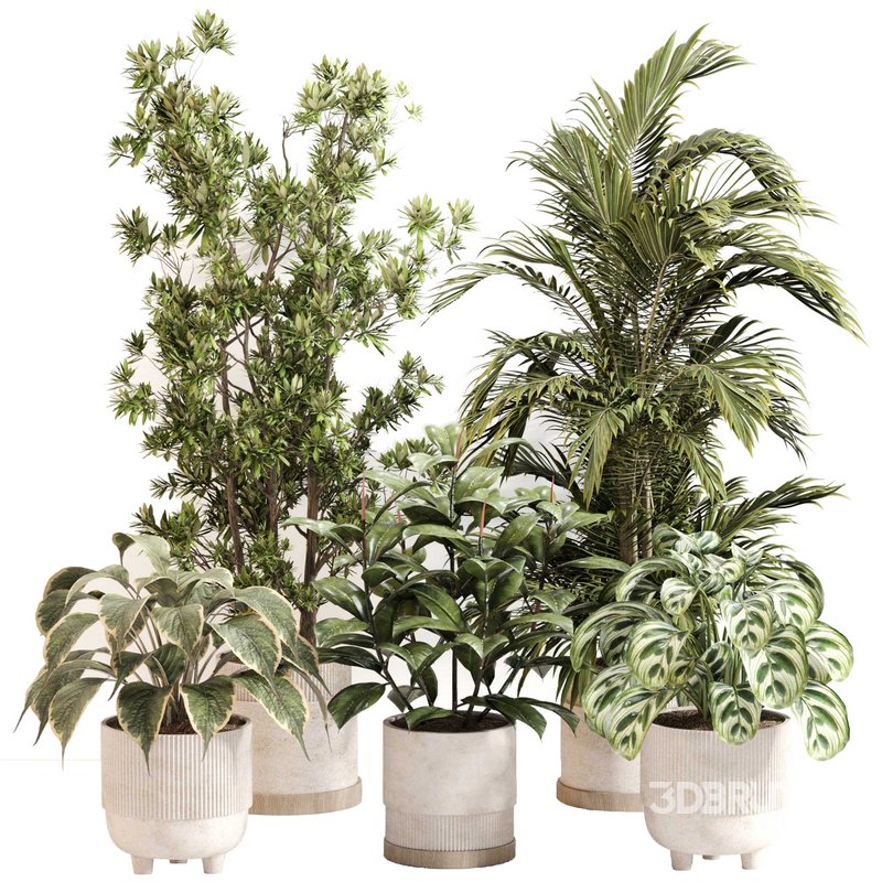 Indoor Plant Set 0116 Image 1