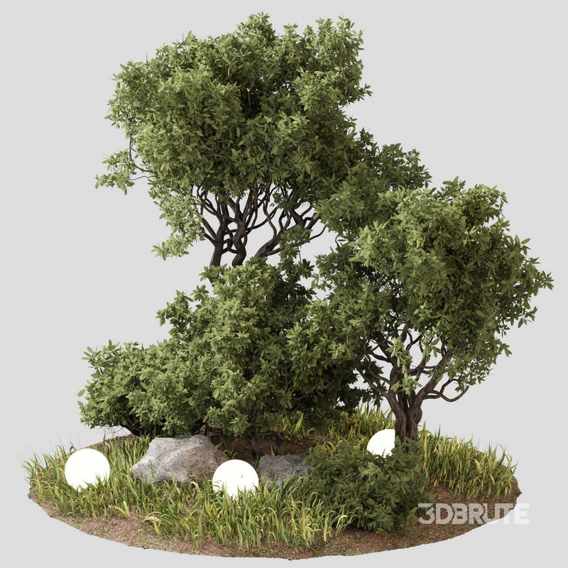 outdoor Plant Set 07 Image 1