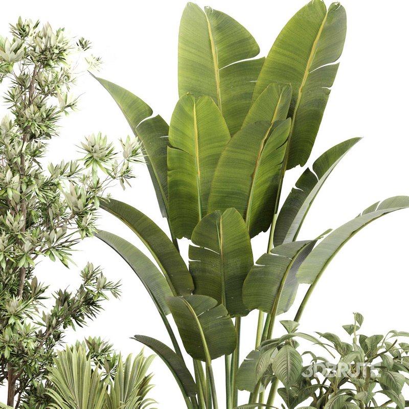 Indoor Plant Set 0114 Image 2