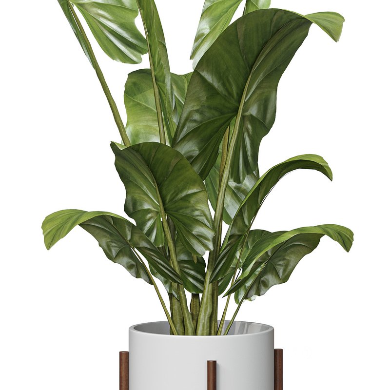 Flower set 05 Image 2