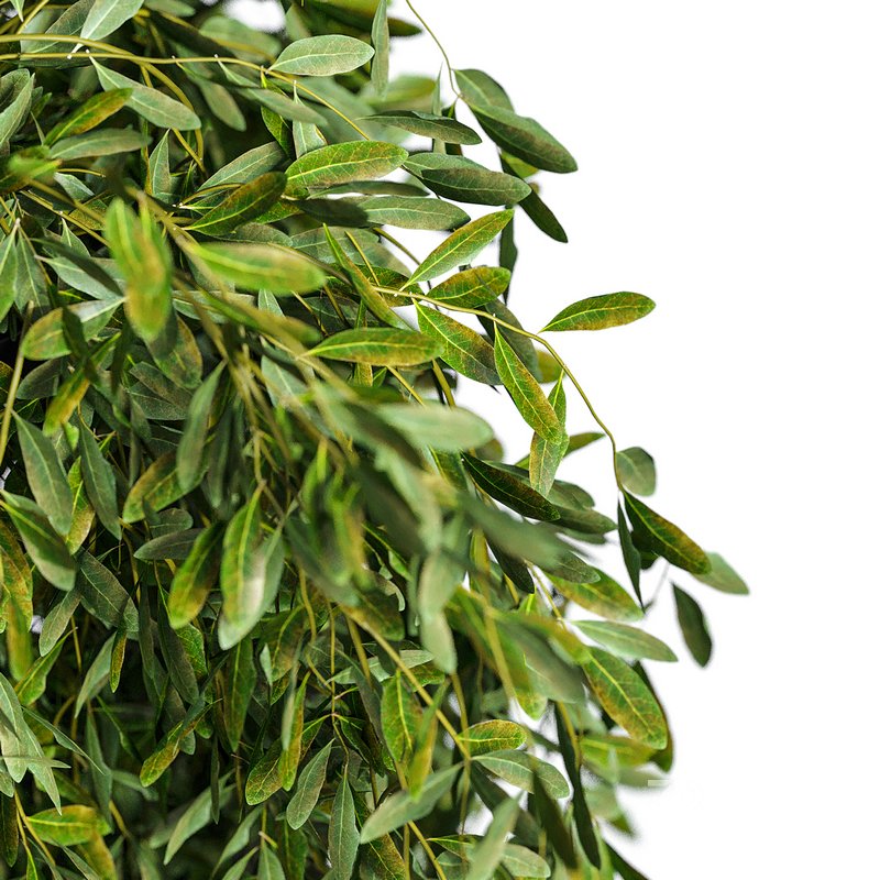 Flower set-14 Image 2