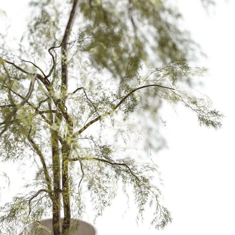 Flower set 12 Image 2