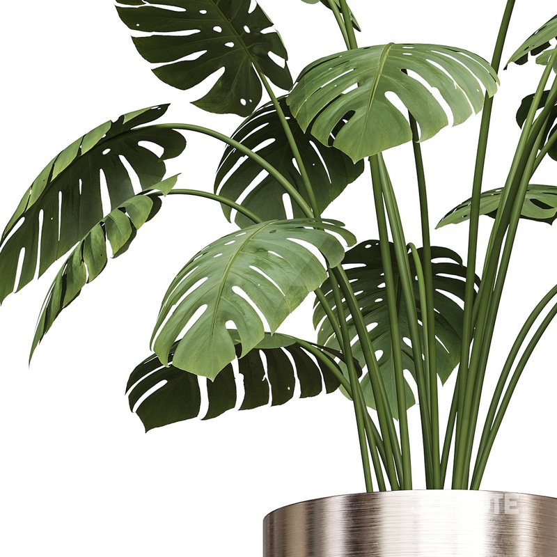 Flower set 02 Image 2