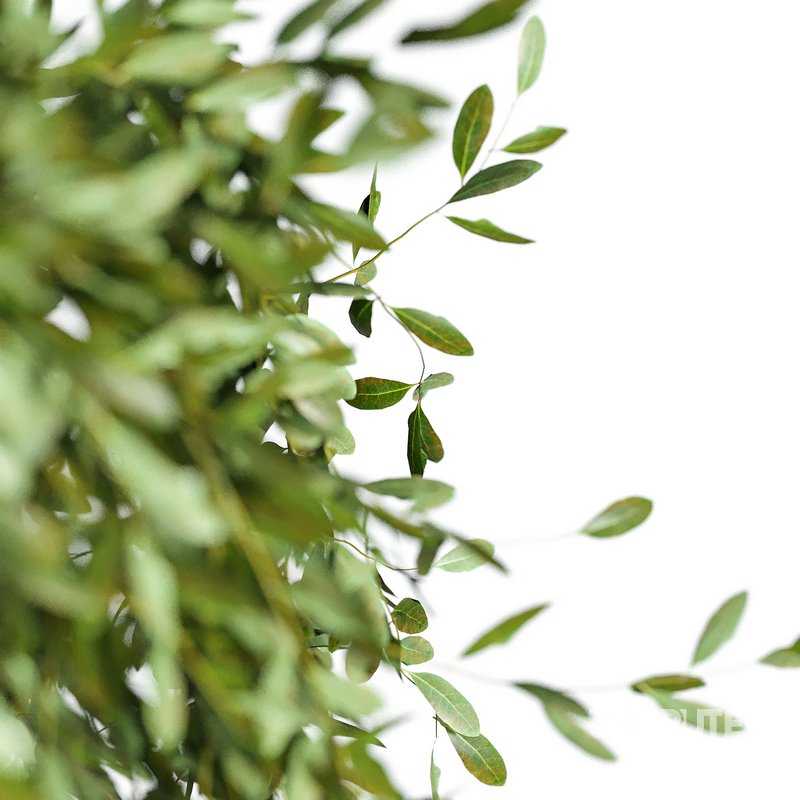 Flower set 13 Image 2