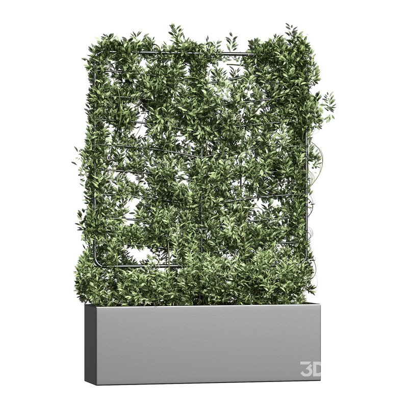 Botanical Planter 4 Image 2