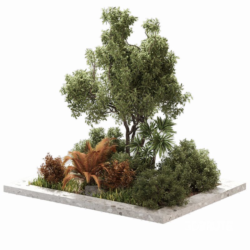 outdoor Plant Set 05 Image 1