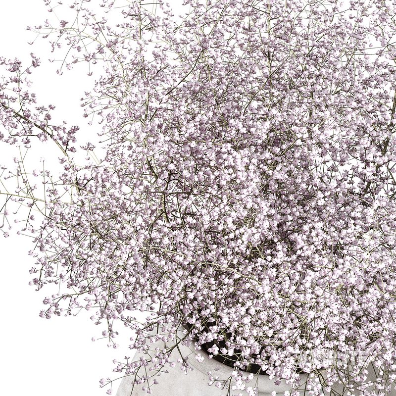 Flower set 07 Image 2