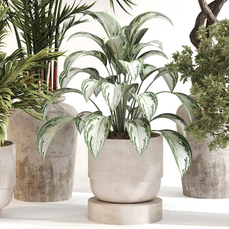 Indoor Plant Set 0123 Image 2