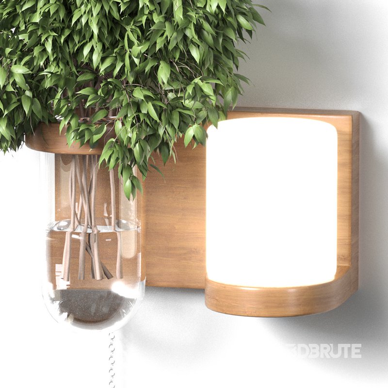 Isla Wall Mounted Lamp & Glass Vase Image 2