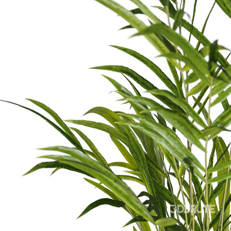 Flower set 10 Image 2