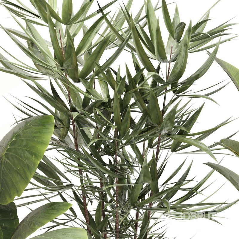 Indoor Plant Set 0108 Image 3