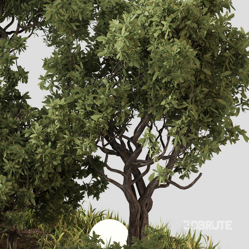 outdoor Plant Set 07 Image 2