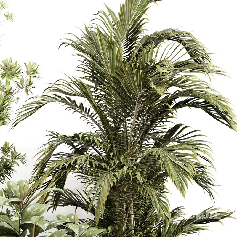 Indoor Plant Set 0116 Image 3