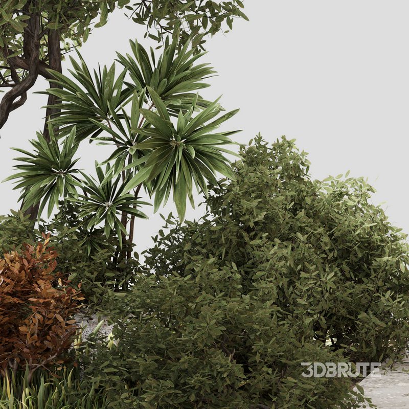 outdoor Plant Set 05 Image 2