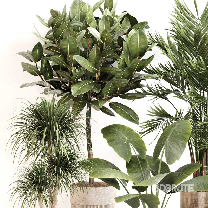 Indoor Plant Set 0107 Image 3