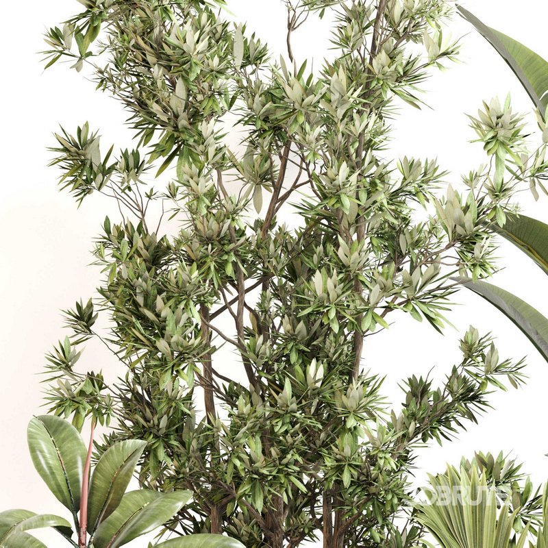 Indoor Plant Set 0114 Image 3