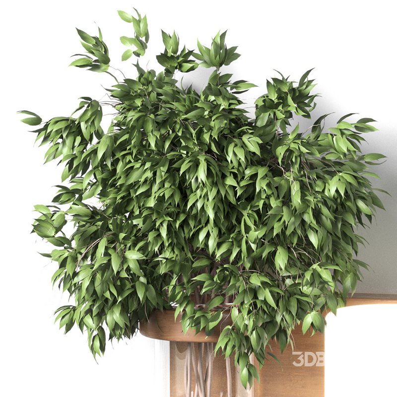 Isla Wall Mounted Lamp & Glass Vase Image 5