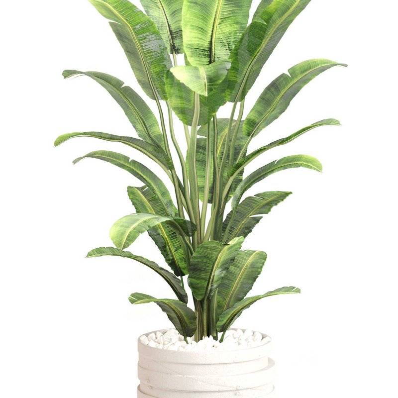 Indoor Plant Set 0128 Image 2