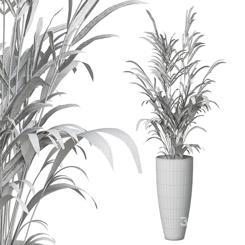 Flower set 10 Image 3