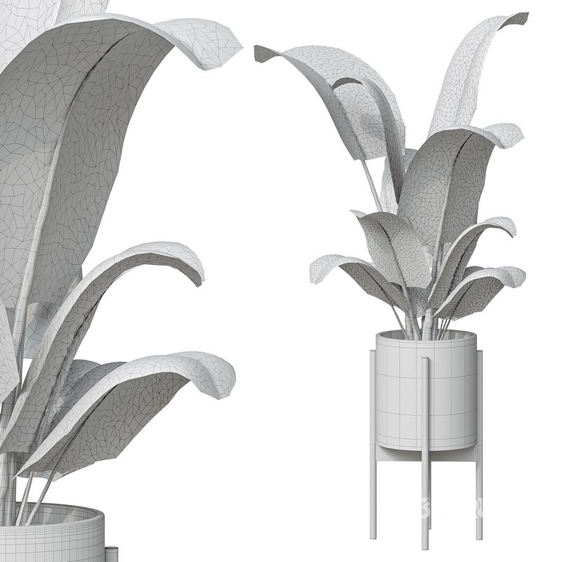 Flower set 05 Image 3