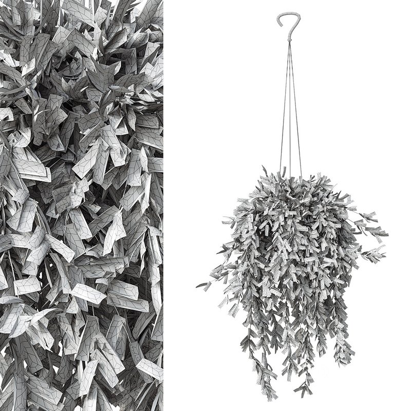 Flower set 13 Image 3