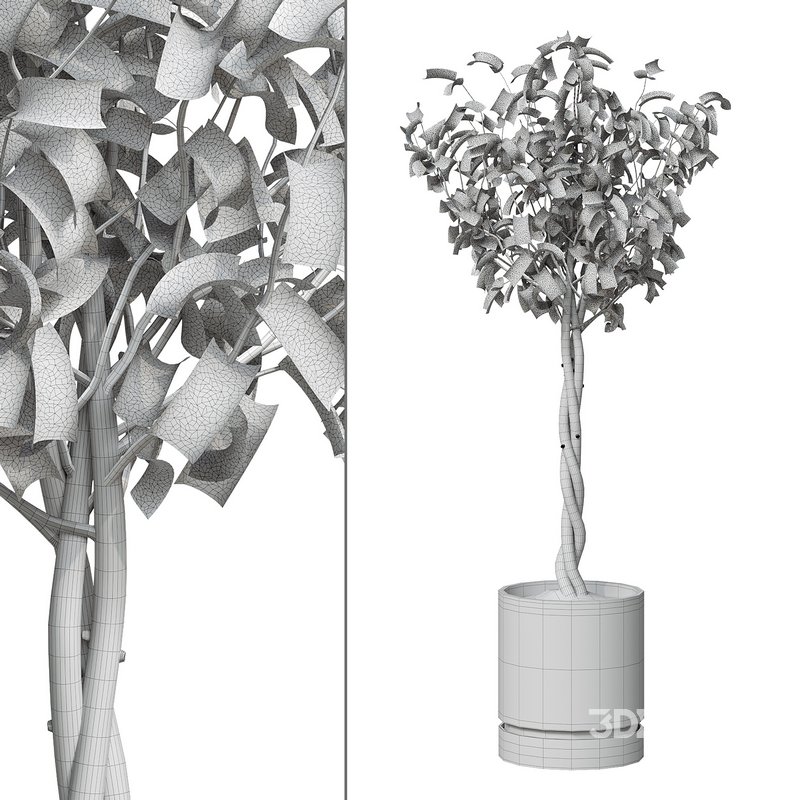 Flower set 11 Image 3