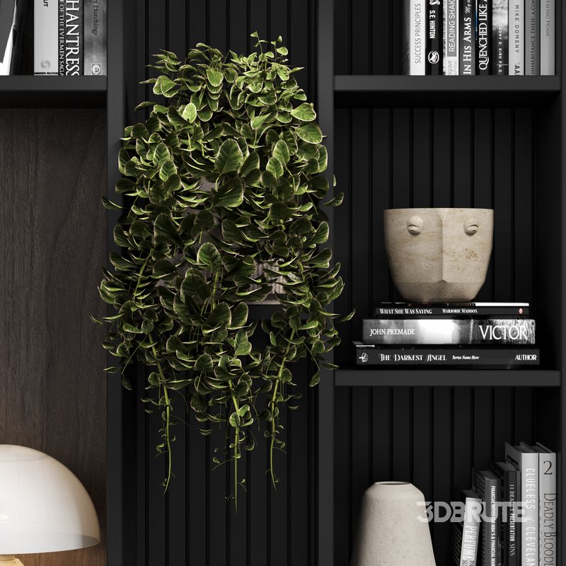 109 bookcase 109 Image 2