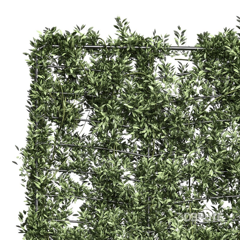 Botanical Planter 4 Image 3