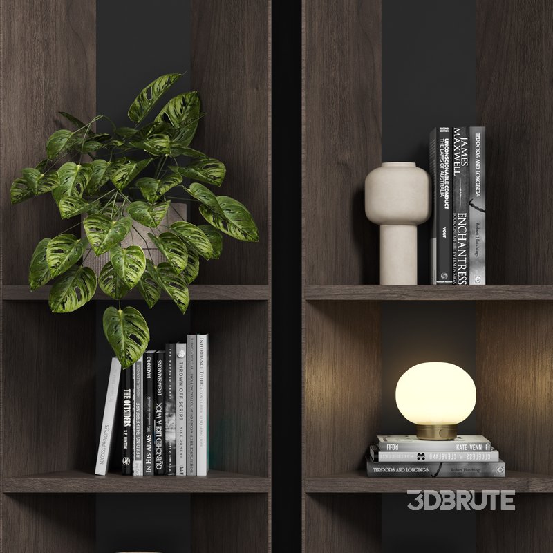 113 bookcase 113 Image 2