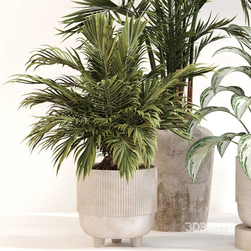 Indoor Plant Set 0123 Image 3