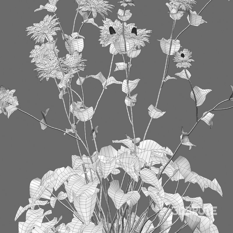 Eryngium alpinum Sea Holly – Queen of the Alps Image 5