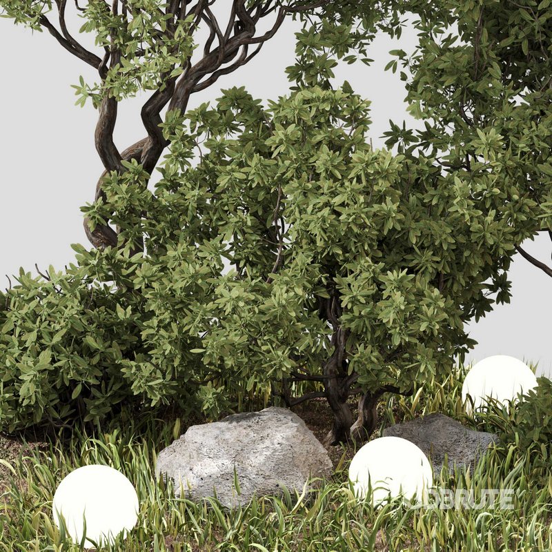 outdoor Plant Set 07 Image 3