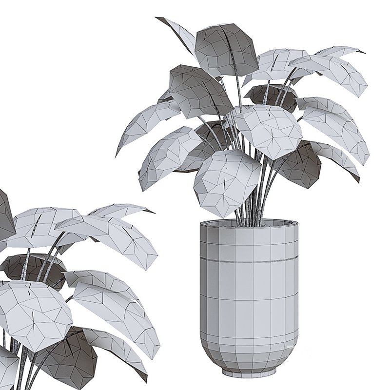 Flower set 02 Image 4