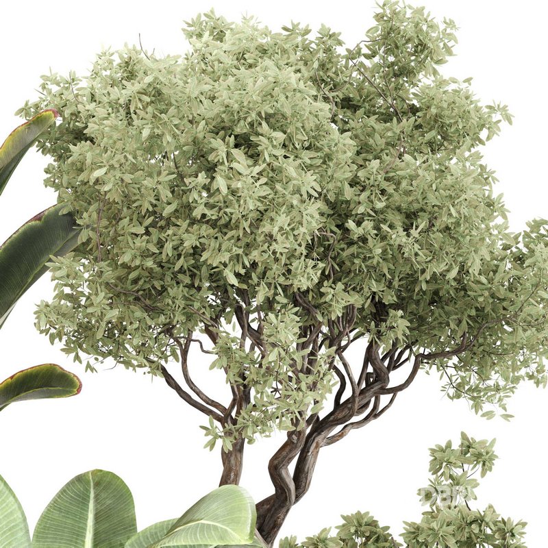 Indoor Plant Set 0120 Image 2