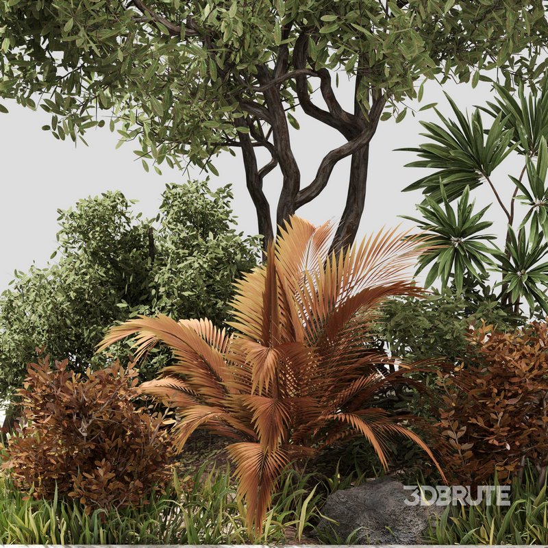 outdoor Plant Set 05 Image 3