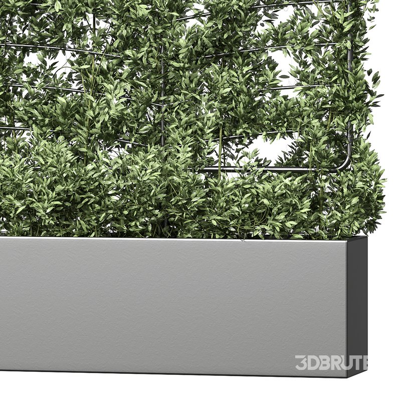 Botanical Planter 4 Image 12