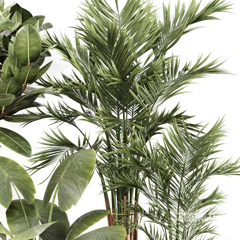 Indoor Plant Set 0107 Image 2