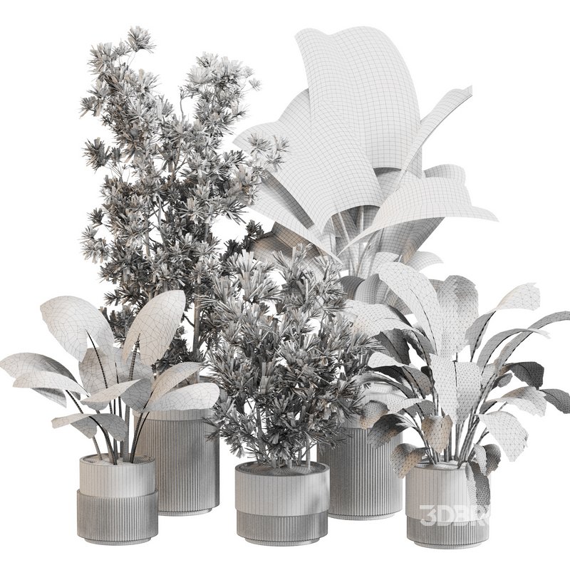 Indoor Plant Set 0122 Image 5