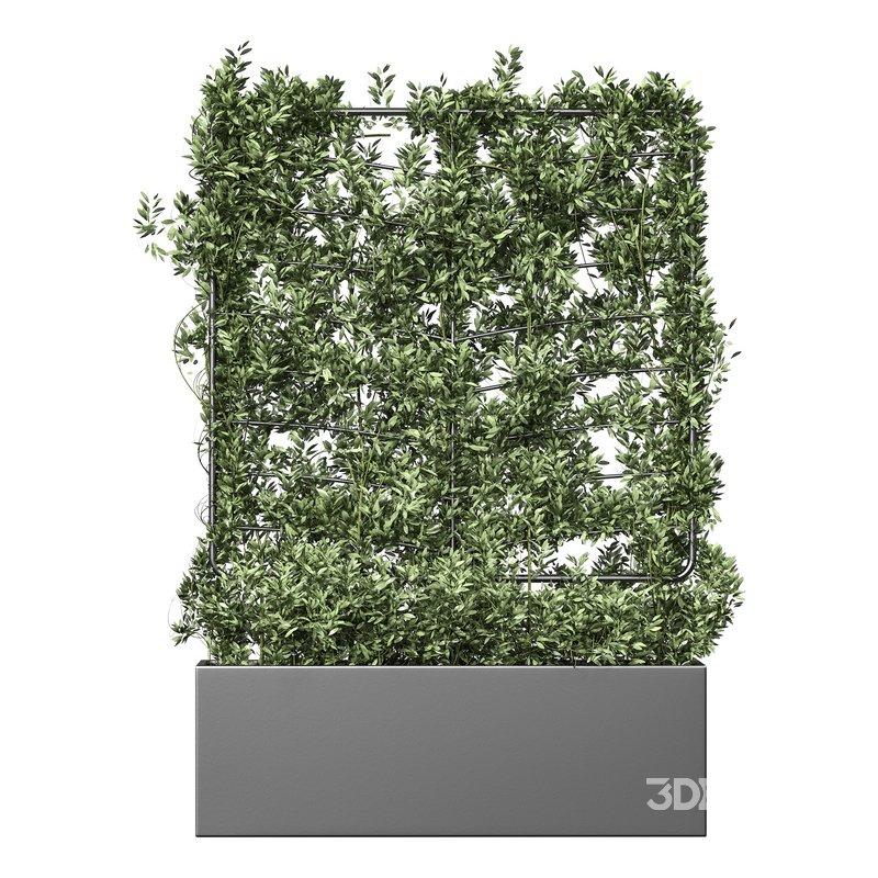 Botanical Planter 4 Image 13