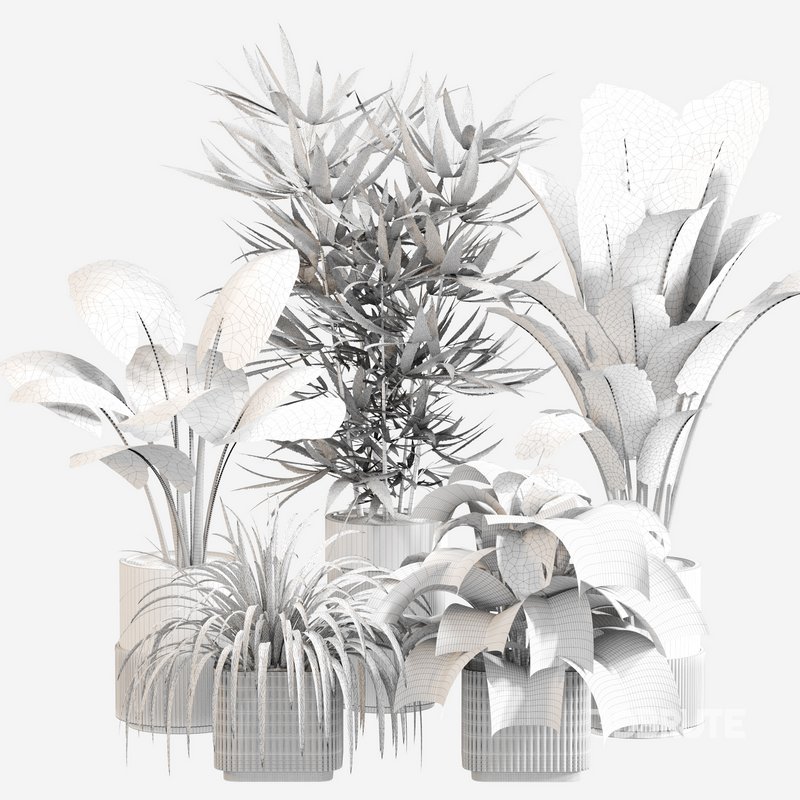 Indoor Plant Set 0108 Image 4