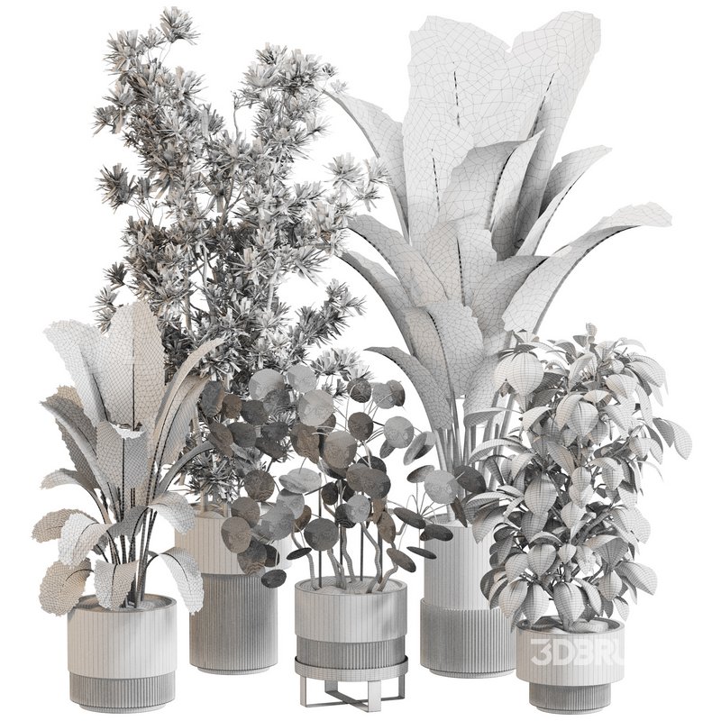 Indoor Plant Set 0121 Image 5