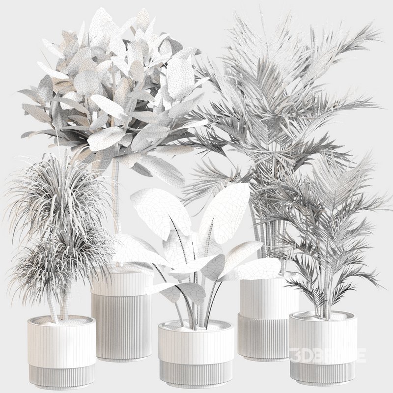 Indoor Plant Set 0107 Image 4