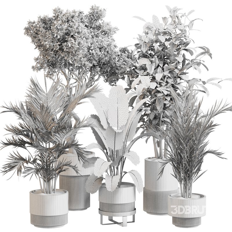 Indoor Plant Set 0118 Image 5