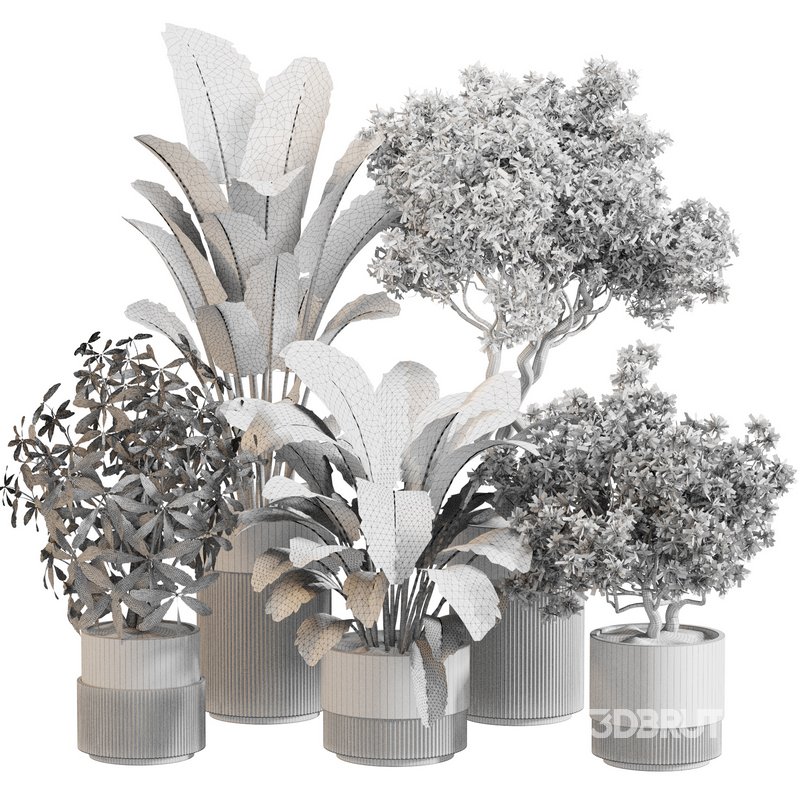 Indoor Plant Set 0120 Image 5